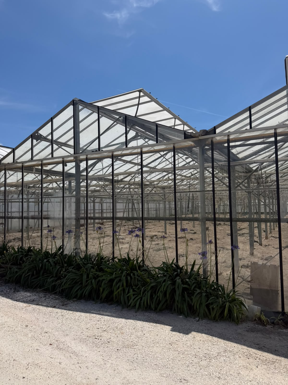 Intact greenhouse structure viewed from outside.